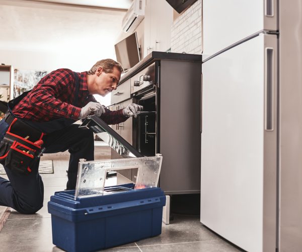 Oven maintenance and repair